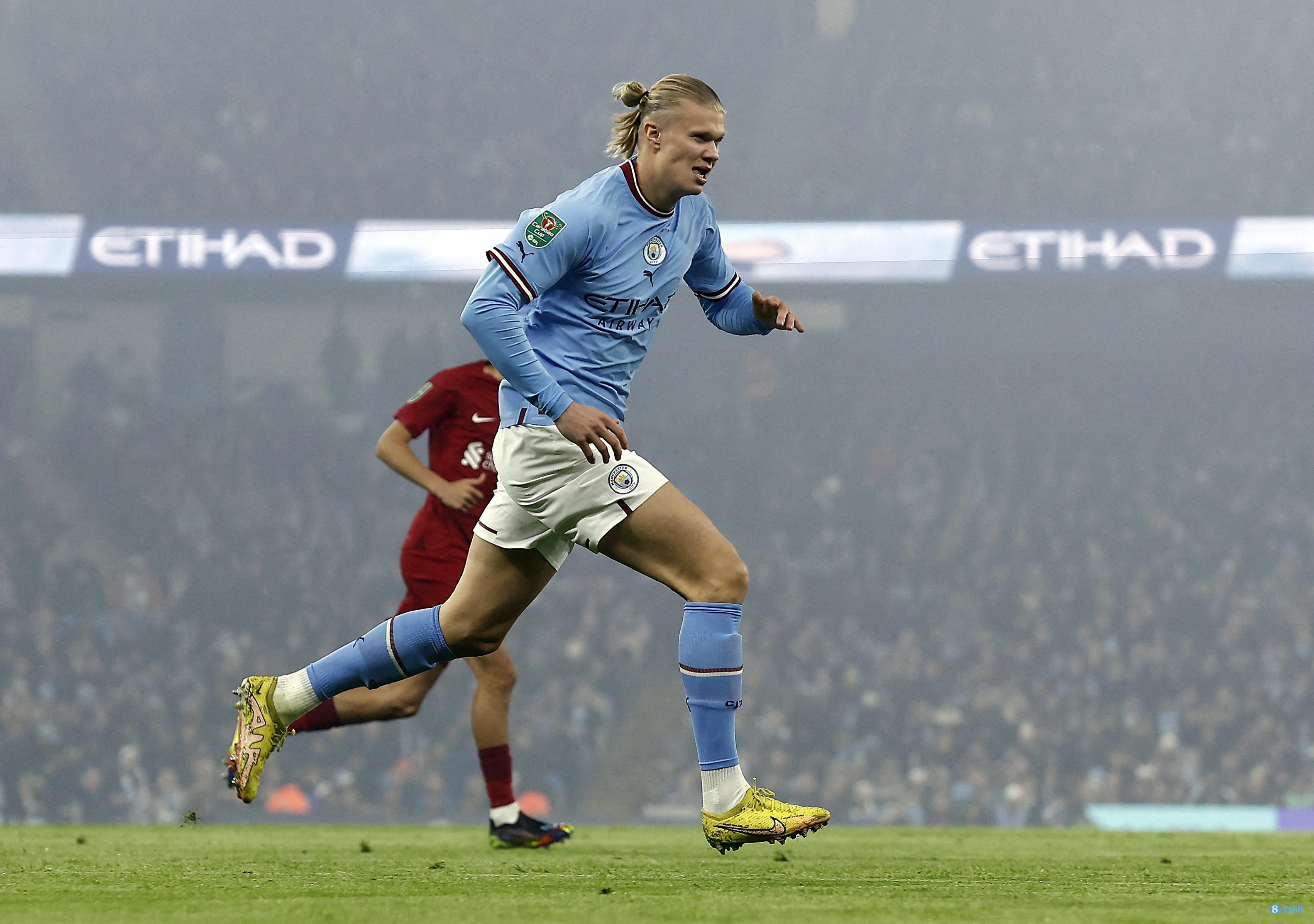 能在细